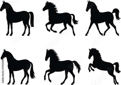 Set of six horse silhouette illustrations in different poses, perfect for animal design, farm, nature, logo, and equestrian projects.