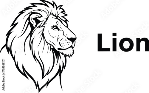 Lion head illustration, showcasing a majestic and powerful animal with intricate details