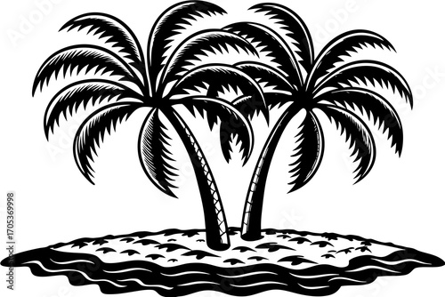 palm trees silhouette