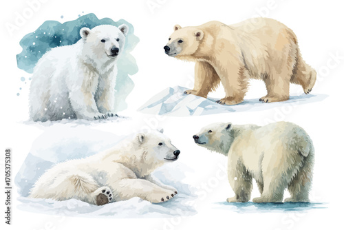 Watercolor polar bear with snow vector illustration 