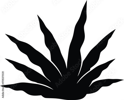 Silhouette of a plant with long, pointed leaves radiating outwards from a central point.