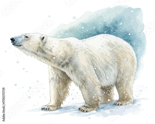 Watercolor polar bear with snow vector illustration 