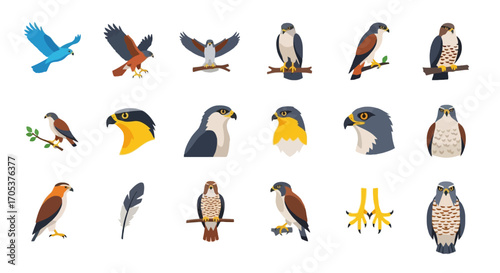 20 Simple Flat Hawk Icons Set for Graphic Design and Digital Projects