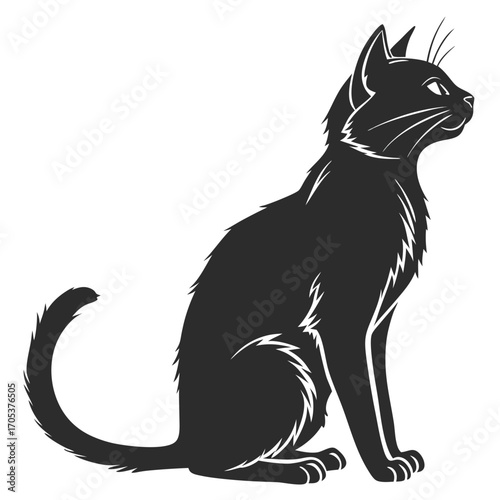 black cat vector illustration