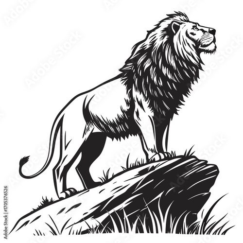 lion vector illustration