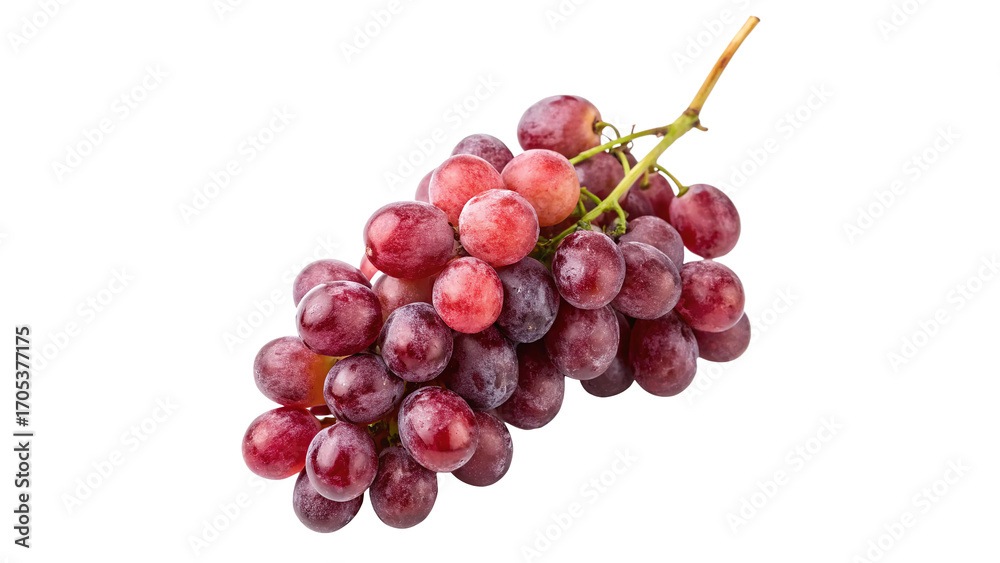 Fototapeta premium Stylish black fedora hat designed for casual and formal settings isolated on transparent background