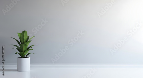Minimalist interior design featuring a potted plant against a neutral wall creating a peaceful ambiance