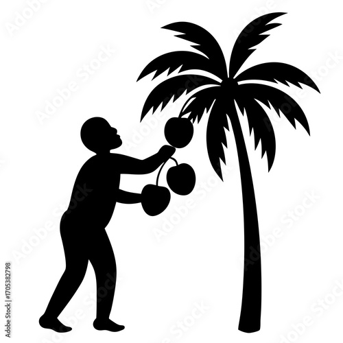 collect-fallen-coconuts-from-one-tree-silhouette