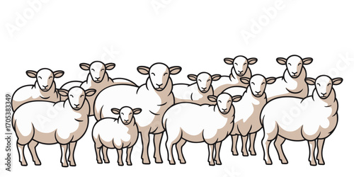 Sheep on a white background. Vector illustration of a flock of sheep.