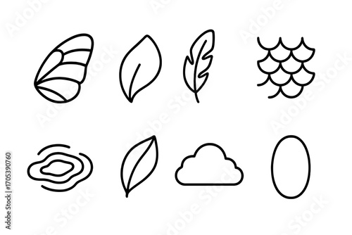 Nature Texture Icons. Outline icon set of silky textures in nature: butterfly wing, petal, feather, fish scale, water ripple, leaf