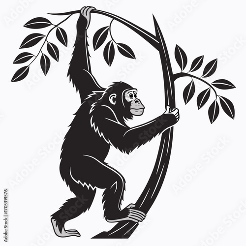 vector of monkey