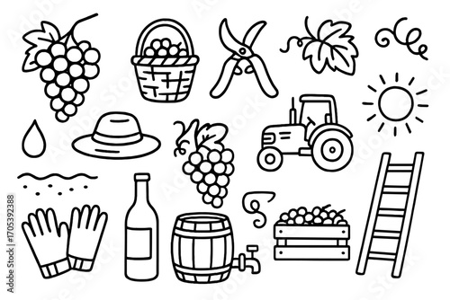 Grape Harvest Doodles. Hand-drawn doodle illustration Grape harvesting grape cluster, basket, pruning shears, vine leaves, farmer