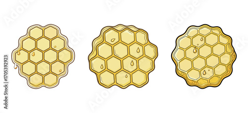 Three hand drawn honeycombs with dripping honey. Outline art food banner. Honeycomb illustration for natural sweets.