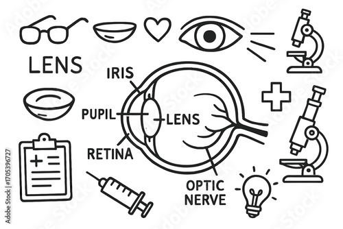 Eye Anatomy Doodles. Hand-drawn doodle illustration lens lens anatomy and function lens, eye, cornea, pupil, iris, retina, optic