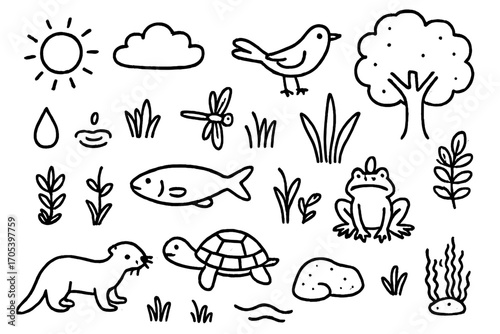 River Ecosystem Doodle. Hand-drawn doodle illustration Clear river ecosystem fish, frog, bird, turtle, water plant, insect, rock,