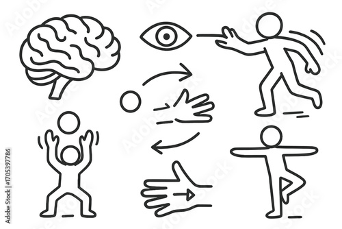 Cerebellum Coordination Doodle. Hand-drawn doodle illustration cerebellum in motion hand movement, eye-hand coordination icon,