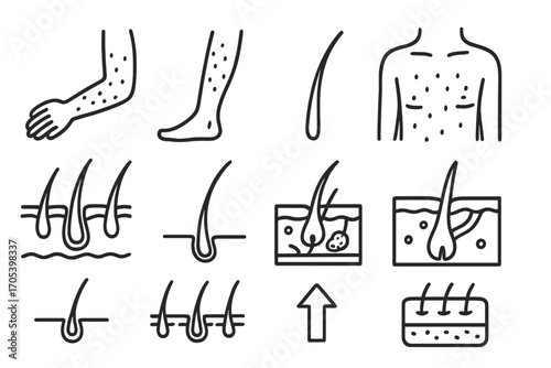 Body Hair Iconography. Hand-drawn doodle illustration body hair follicles arm icon, leg icon, torso icon, hair follicles, fine