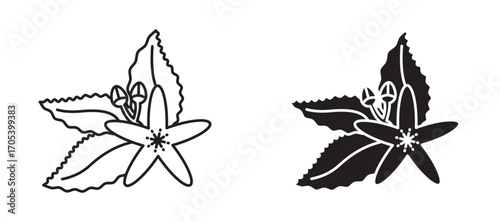 Neroli icons set for apps and web.