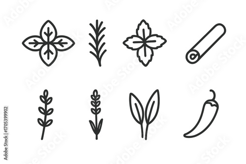 Herb and Spice Icons. Outline icon set of botanical herbs and spices: basil, rosemary, mint, cinnamon stick, thyme, lavender, sage
