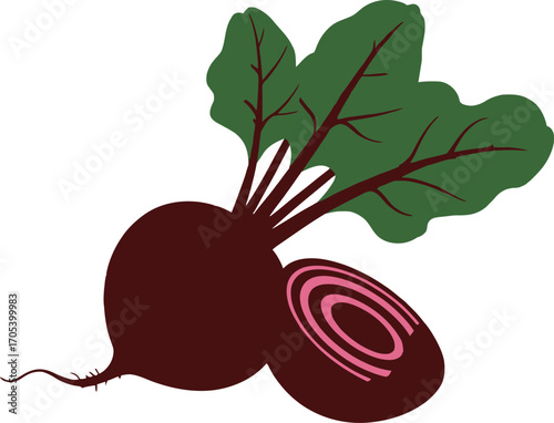 Illustration of a whole and sliced beet on a white background