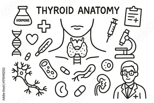 Thyroid Anatomy Doodles. Hand-drawn doodle illustration thyroid anatomy thyroid gland, neck, hormone vial, syringe, microscope,