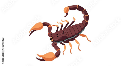 Scorpion Illustration Isolated on White Background.