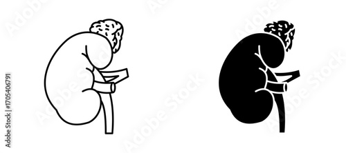 Adrenal gland icons set for apps and web.