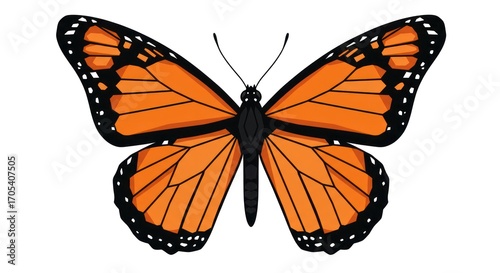 Illustration of a beautiful monarch butterfly with orange and black wings