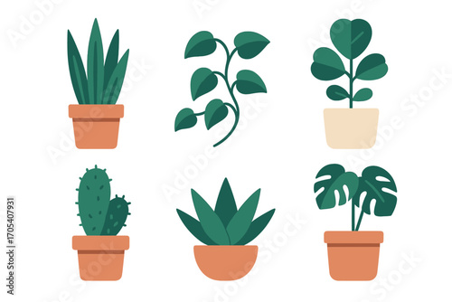 Six potted houseplants in a clean, modern flat design