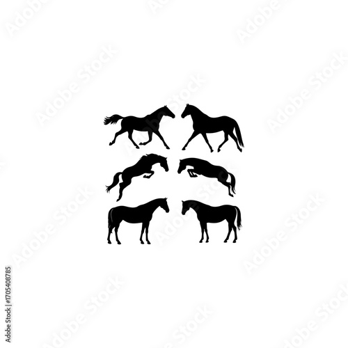 Collection of horse silhouettes set vector illustration. isolated on white background 