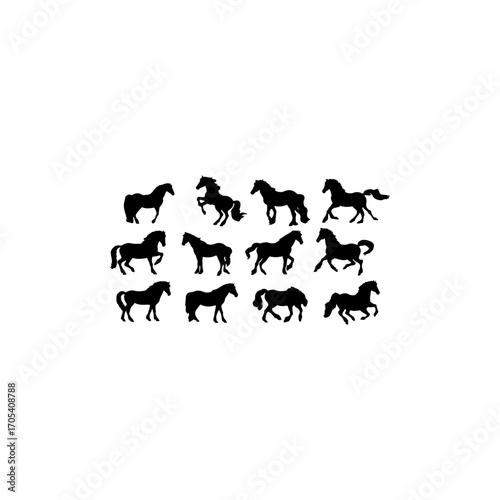 Collection of horse silhouettes set vector illustration. isolated on white background 
