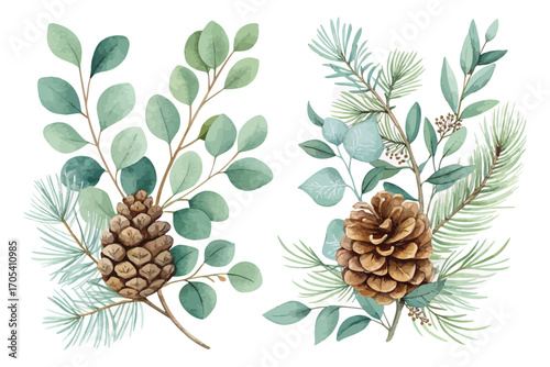Watercolor Eucalyptus and Pine Cone Arrangement for Christmas vector illustration 