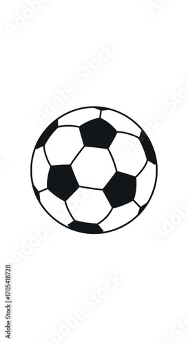 Classic Soccer Ball Illustration.