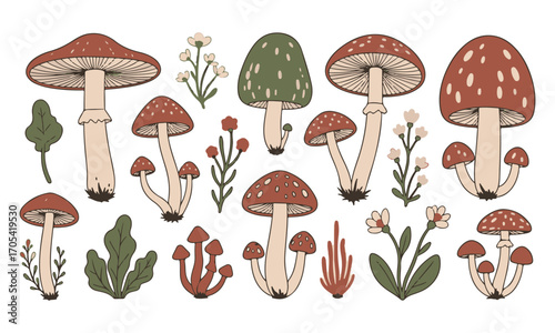 Mushroom flat Illustration Icons set, Floating plant and tree Vector Art Illustration Clipart. set of mushroom Illustration bundle 