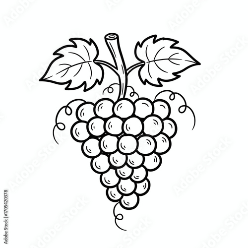 A black and white illustration of a bunch of grapes with leaves and stem.