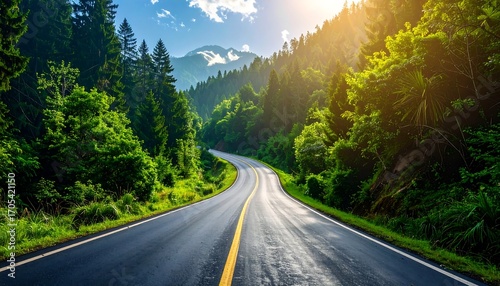 Scenic road winding through lush green forest under bright sunlight.