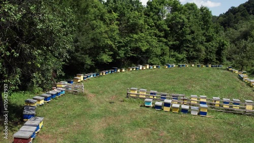 Aerial view of wooden beehives placed on a rural bee farm in nature.