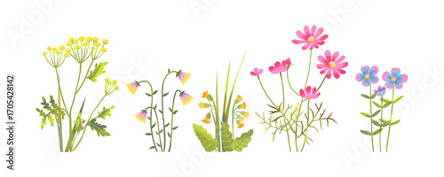 Wildflower cartoon bouquet bunch set, spring bush and summer wild blossoms with groove floral elements, colorful seasonal decorative illustration