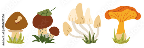 variety of mushrooms. Flat, isolated color illustration. Red caps, porcini mushrooms, mushrooms, chanterelles. In the grass with worm. Design postcards. Walking in forest, hiking, picking mushrooms