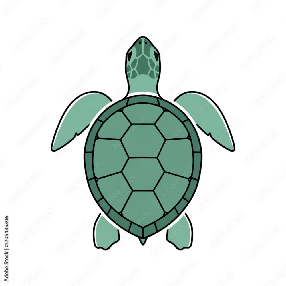 Fototapeta premium Green Sea Turtle Illustration Top View.