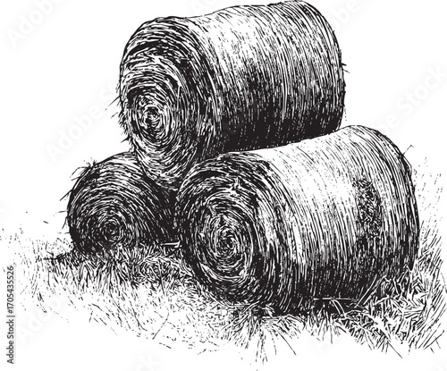 Haystack illustration on a white background. This vector illustration can be used in any size you like for advertising, logos, and other work.