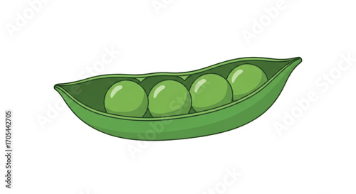 Fresh Green Peas in a Pod Illustration.