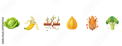 Healthy food ingredients set
