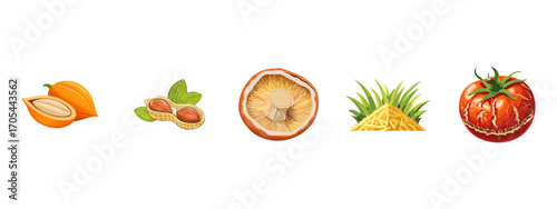 Healthy food illustration mix