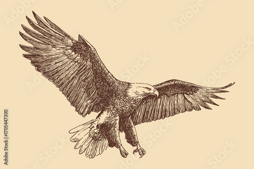 USA eagle illustration in a vintage style. This vector illustration can be used in any size you like for advertising, logos, and other work.