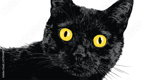 Spooky Black Cat Illustration for Halloween Designs and Projects