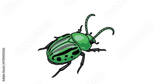 Green beetle with black stripes and spots.