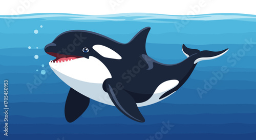 Orca Killer Whale Swimming Underwater Ocean Life.