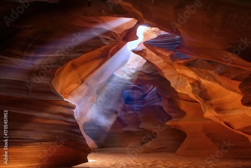 A journey through colors, creatures, and breathtaking sceneries.