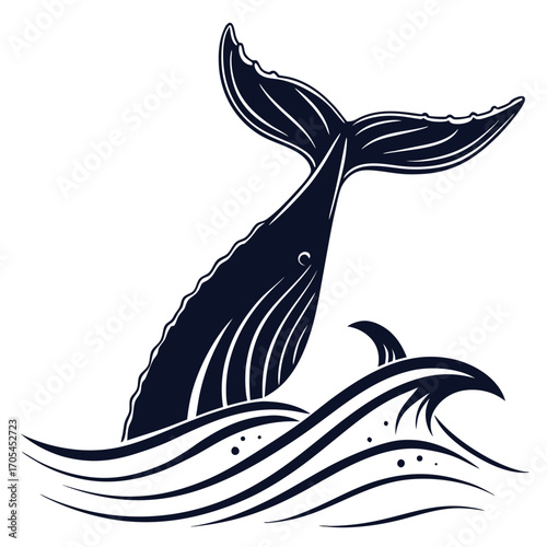illustration of a shark